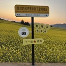 昆明旅游 缩略图 10