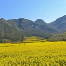 保山旅游 缩略图 1