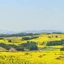 保山旅游 缩略图 7