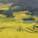 普洱旅游 缩略图 2