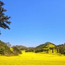 保山旅游 缩略图 2