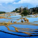 昆明旅游 缩略图 12