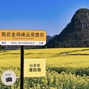 昆明旅游 缩略图 15