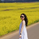 昆明旅游 缩略图 1