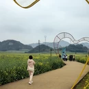 保山旅游 缩略图 9