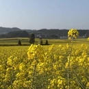 昆明旅游 缩略图 3