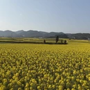 昆明旅游 缩略图 4