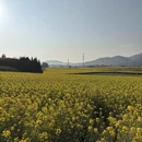 昆明旅游 缩略图 8