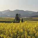 昆明旅游 缩略图 7