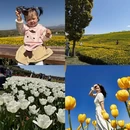 佛山旅游 缩略图 5