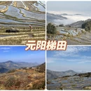 佛山旅游 缩略图 6