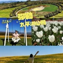 佛山旅游 缩略图 4