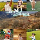 佛山旅游 缩略图 1