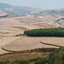 昆明旅游 缩略图 5