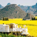 昆明旅游 缩略图 9