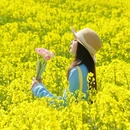 南京旅游 缩略图 5