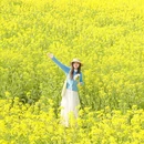 南京旅游 缩略图 11
