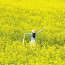 南京旅游 缩略图 9