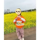 曲靖旅游 缩略图 7