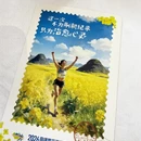 曲靖旅游 缩略图 5