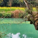 曲靖旅游 缩略图 3