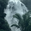 昆明旅游 缩略图 4