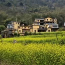 曲靖旅游 缩略图 7