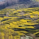 昆明旅游 缩略图 6