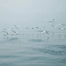 昆明旅游 缩略图 3