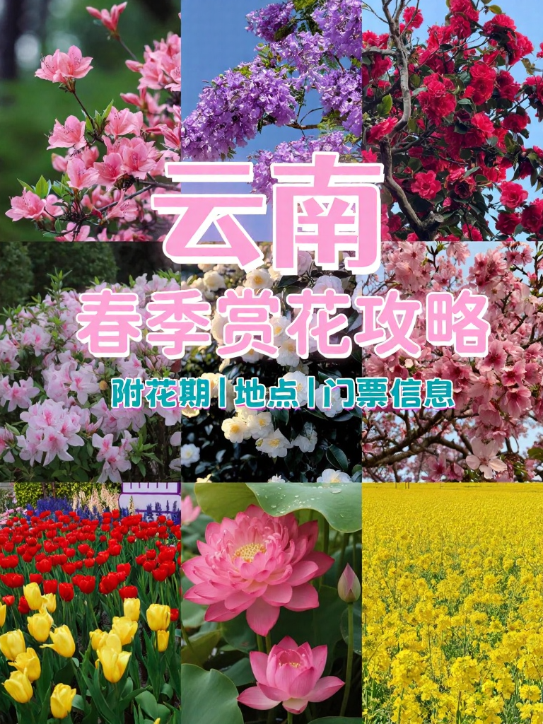 昆明旅游