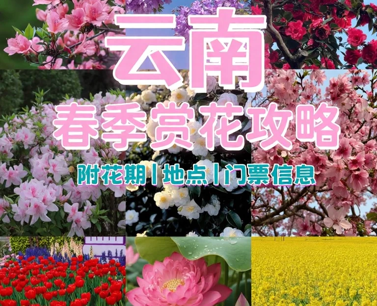 昆明旅游 1