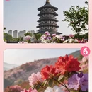 林芝旅游 缩略图 6