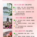 林芝旅游 缩略图 2