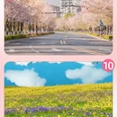 林芝旅游 缩略图 8