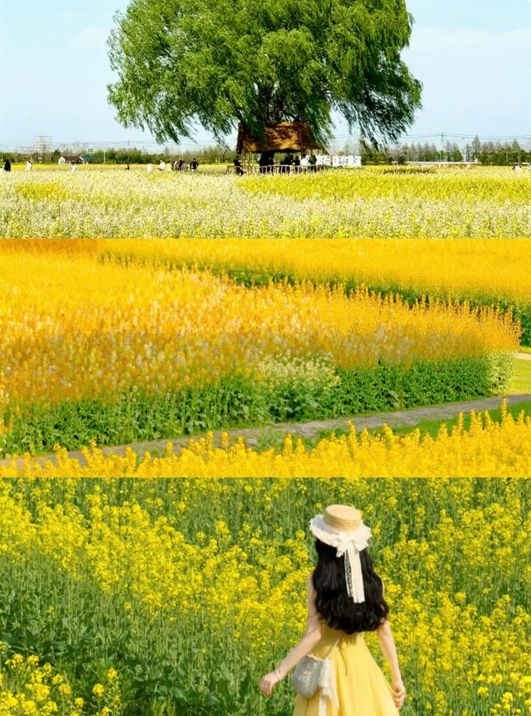 上海旅游