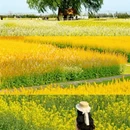 上海旅游 缩略图 1