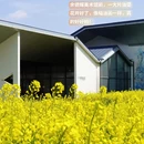 上海旅游 缩略图 6