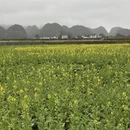 杭州旅游 缩略图 4