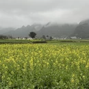 杭州旅游 缩略图 1