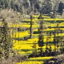昆明旅游 缩略图 2