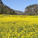 昆明旅游 缩略图 3