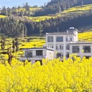 昆明旅游 缩略图 1