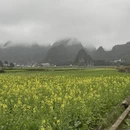 杭州旅游 缩略图 2