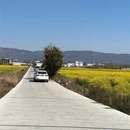 大理州旅游 缩略图 7