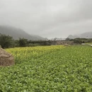 杭州旅游 缩略图 3