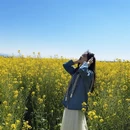 大理州旅游 缩略图 3