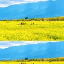 大理州旅游 缩略图 6