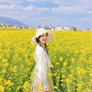 大理州旅游 缩略图 1