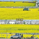 大理州旅游 缩略图 5