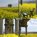 大理州旅游 缩略图 4